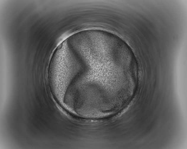 X0000086281521200704122038