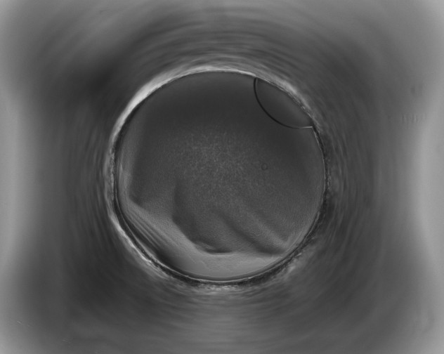 X0000086281522200704122038