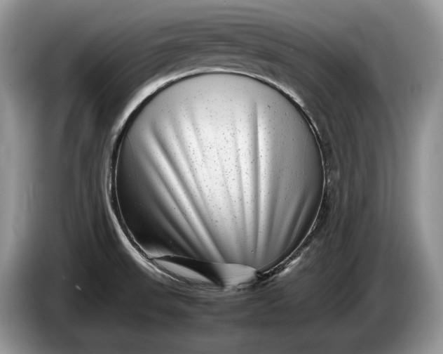 X0000086281523200704122038