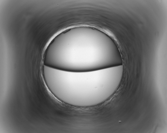 X0000086281524200704122038