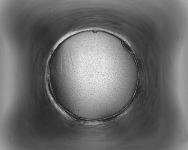 X0000086281526200704122038