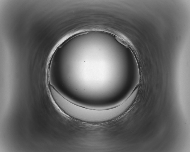 X0000086281528200704122038