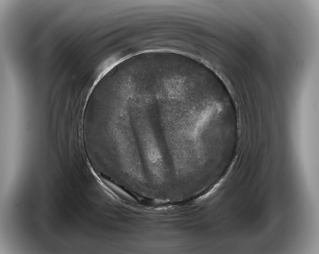 X0000086281529200704122038