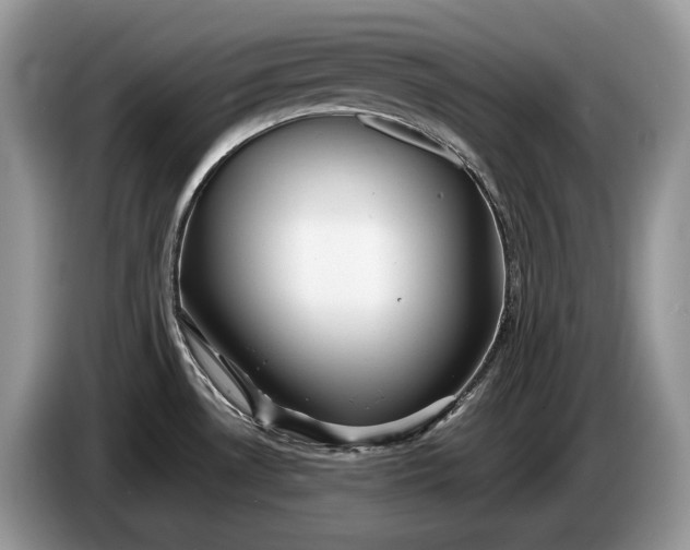 X0000086281530200704122038