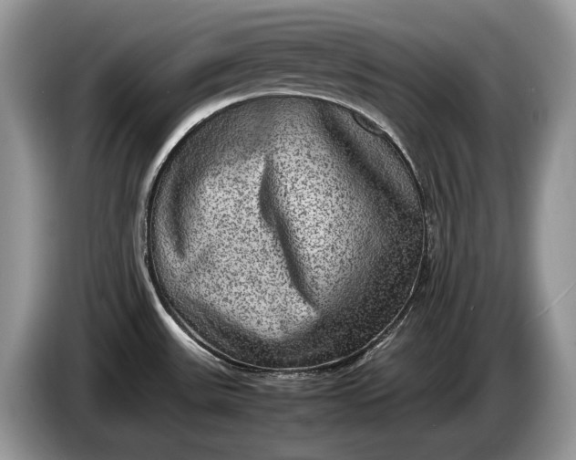 X0000086281531200704122038