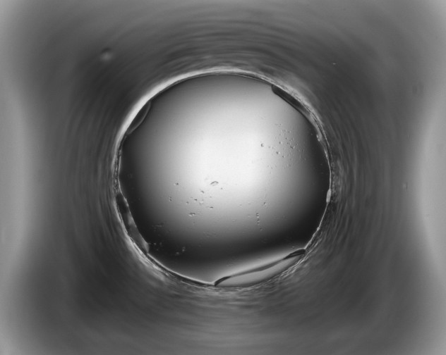 X0000086281532200704122038