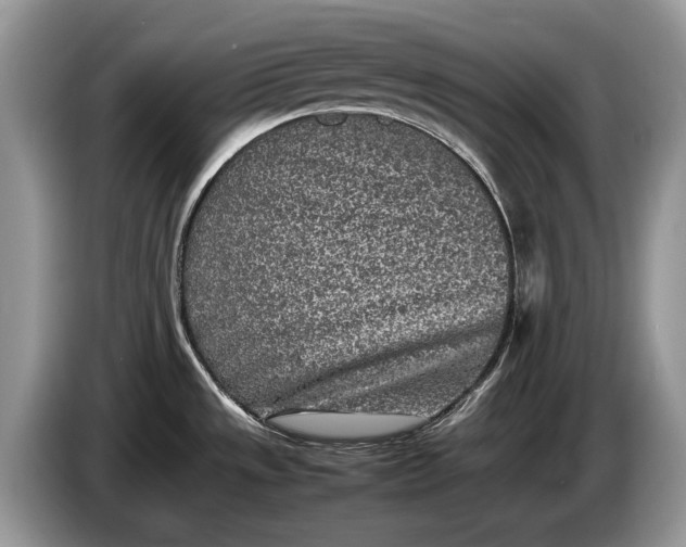 X0000086281533200704122038