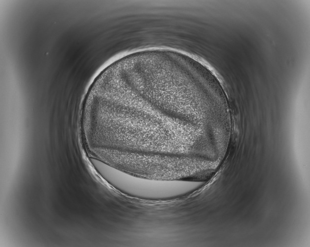 X0000086281534200704122038