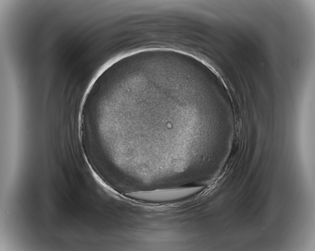 X0000086281535200704122038