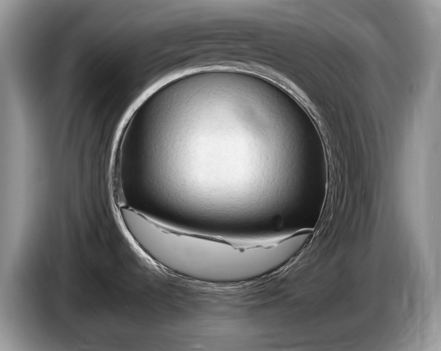 X0000086281536200704122038