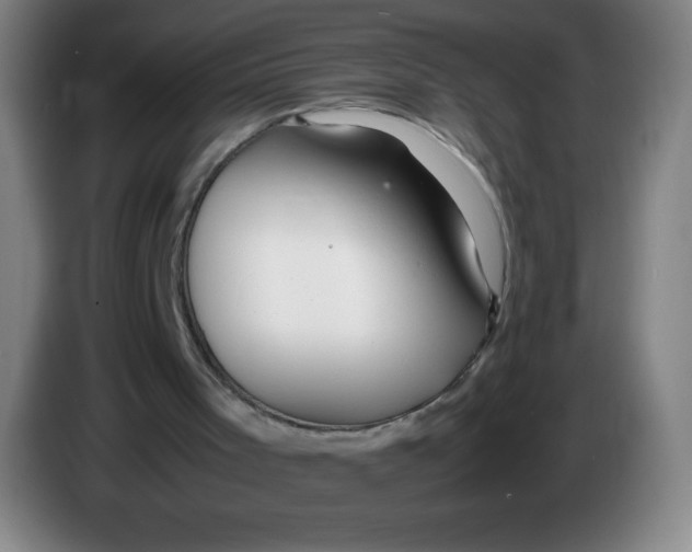 X0000086280001200704191956