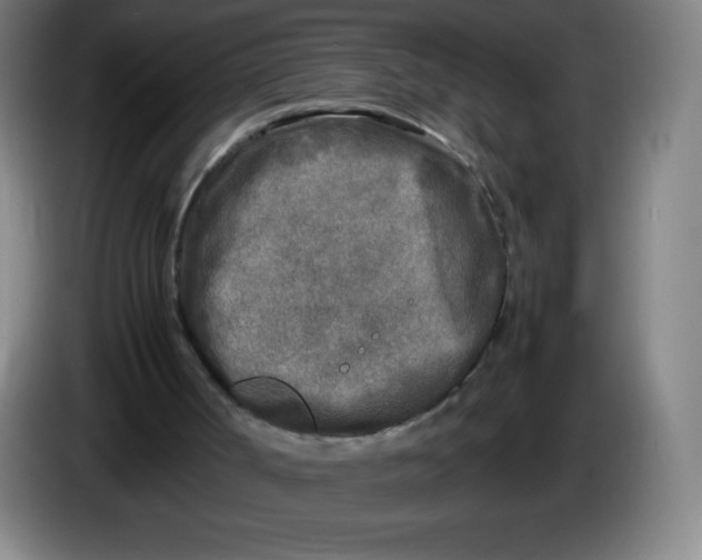 X0000086280002200704191956