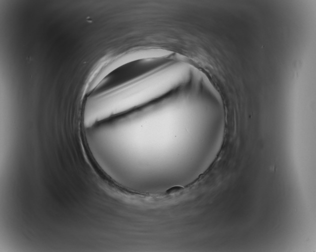 X0000086280003200704191956