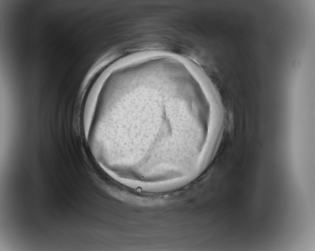 X0000086280004200704191956