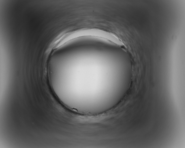 X0000086280005200704191956