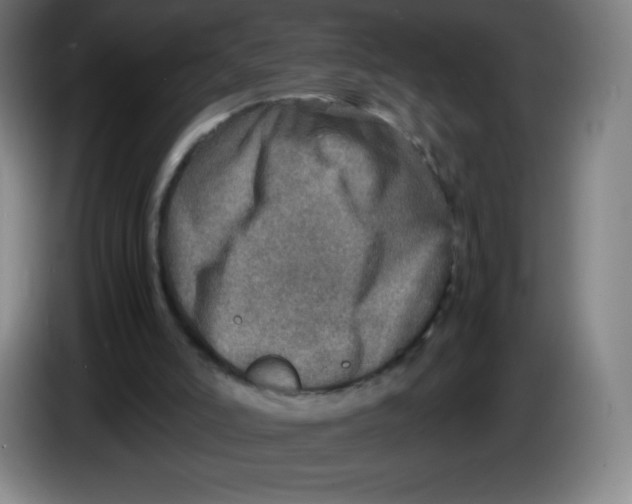 X0000086280006200704191956