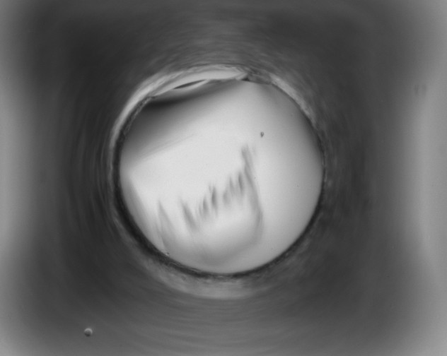 X0000086280008200704191956