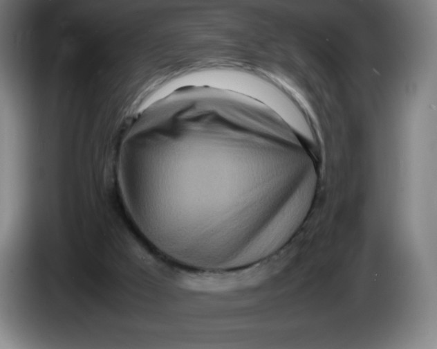 X0000086280009200704191956