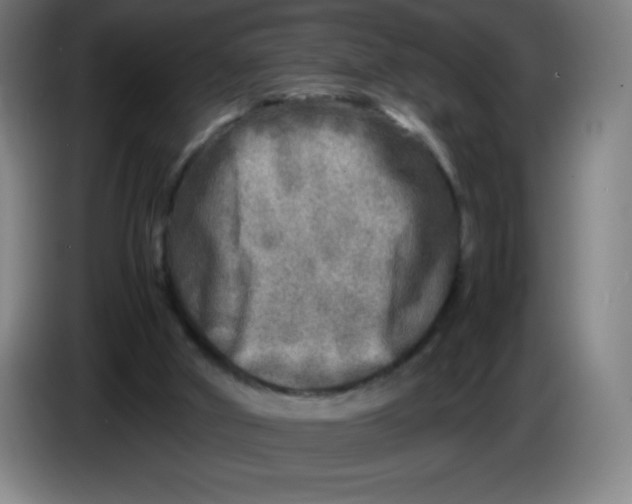 X0000086280010200704191956