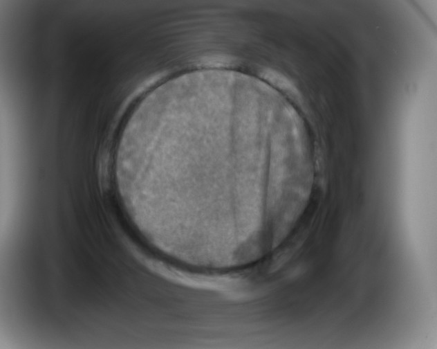 X0000086280012200704191956