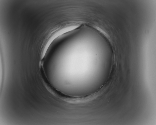 X0000086280013200704191956