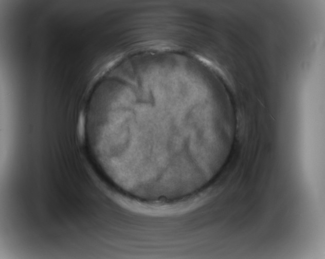 X0000086280014200704191956