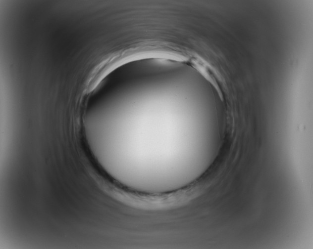 X0000086280015200704191956