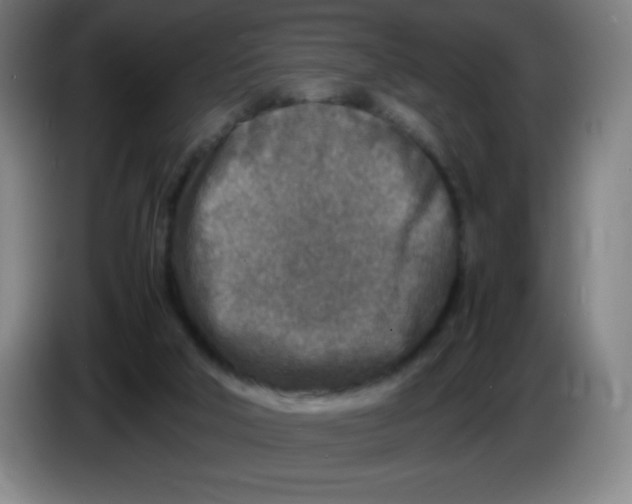 X0000086280018200704191956