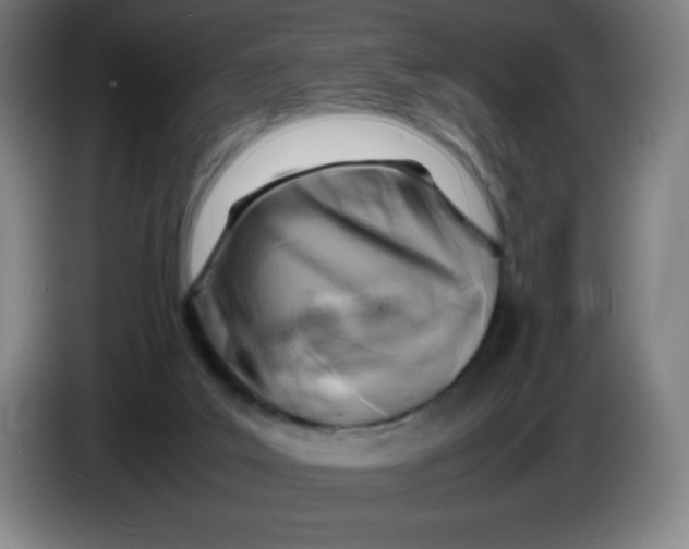 X0000086280019200704191956