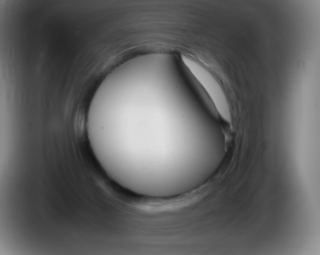 X0000086280021200704191955