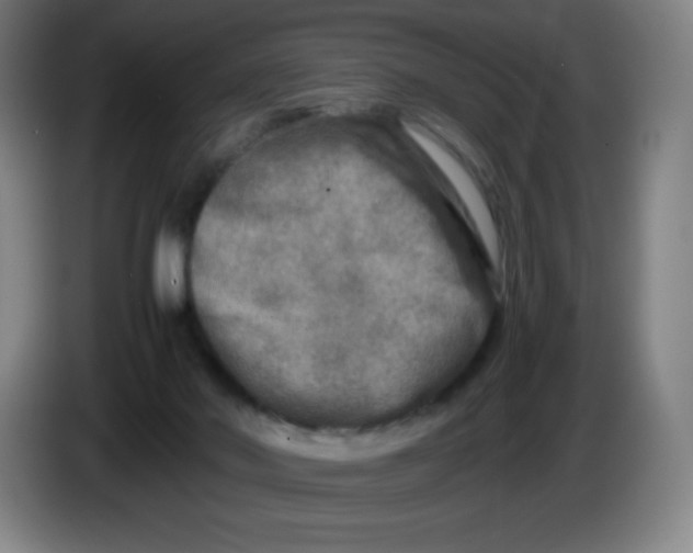 X0000086280022200704191955