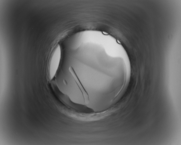 X0000086280023200704191955