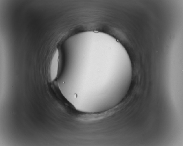 X0000086280025200704191955