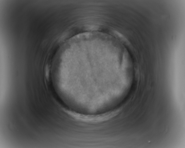 X0000086280026200704191955