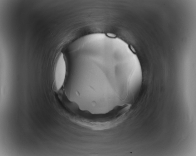 X0000086280027200704191955