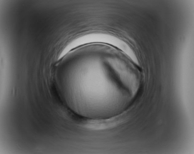 X0000086280029200704191955