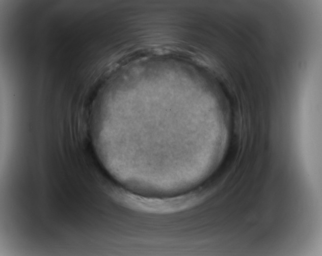 X0000086280030200704191955