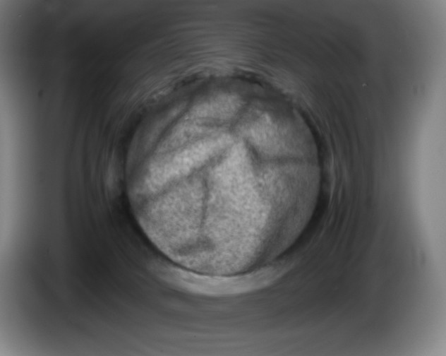 X0000086280034200704191955