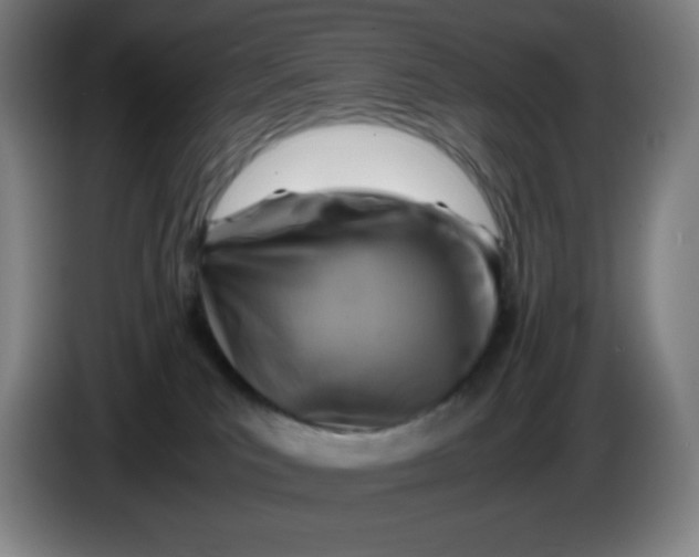 X0000086280039200704191955