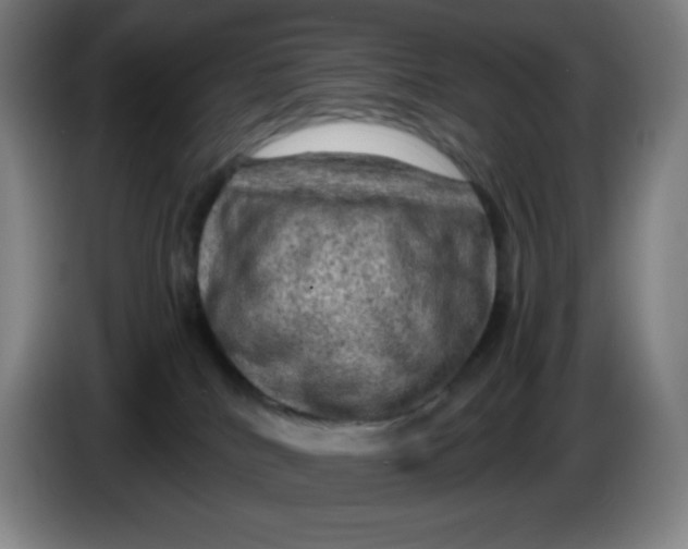 X0000086280040200704191955