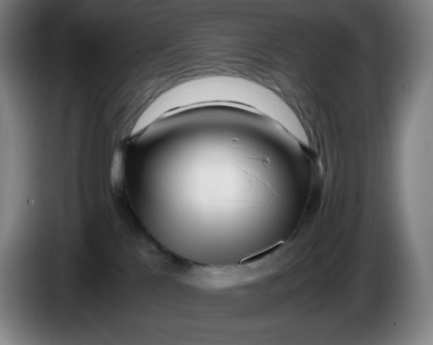 X0000086280041200704191955