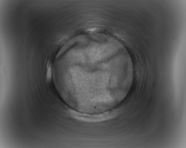 X0000086280042200704191955