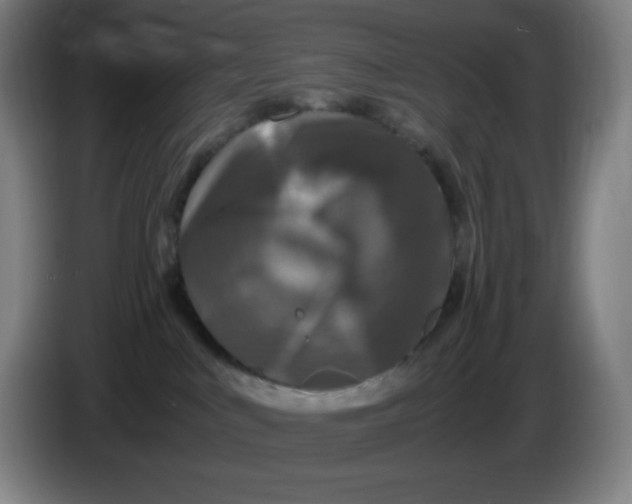 X0000086280043200704191955