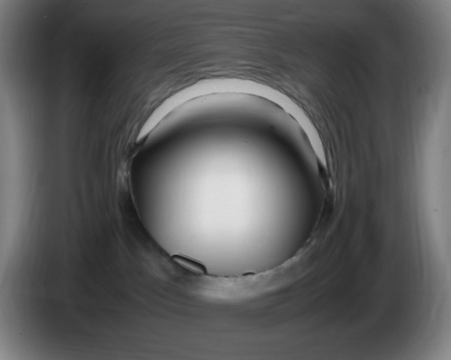 X0000086280045200704191955