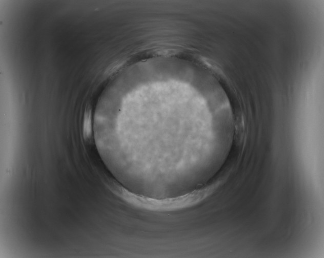 X0000086280046200704191955