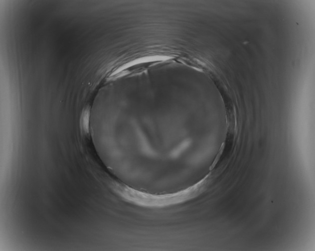 X0000086280047200704191955