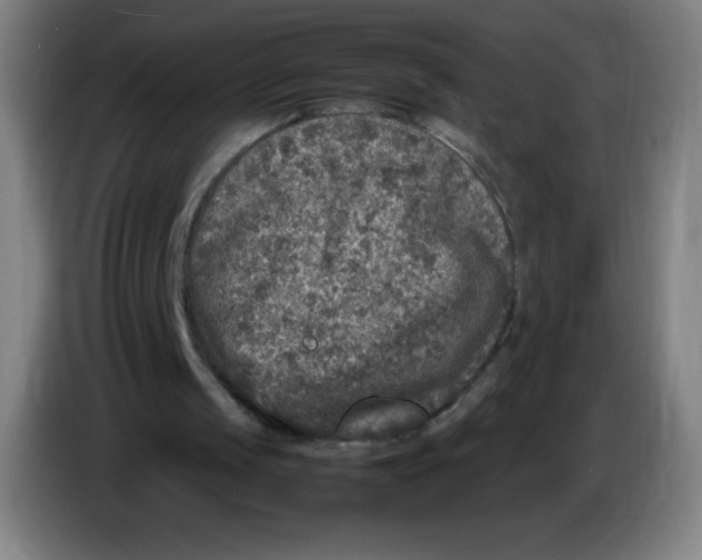 X0000086280049200704191954