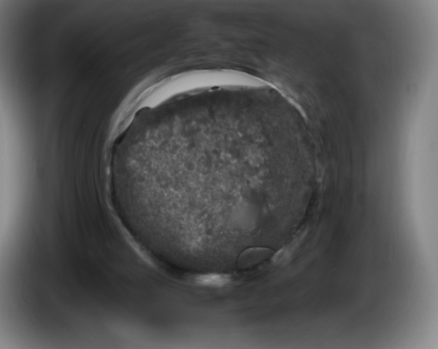 X0000086280053200704191955