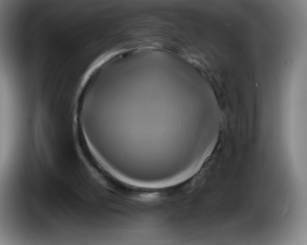 X0000086280054200704191955