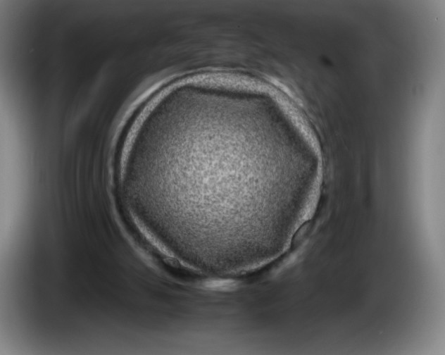 X0000086280055200704191955